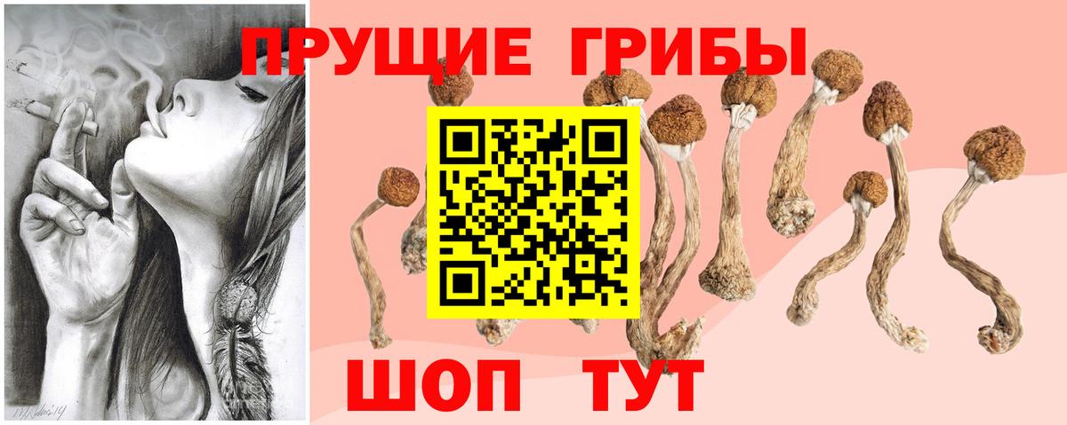 Галлюциногенные грибы Cubensis  Вход с VPN  Нарткала 